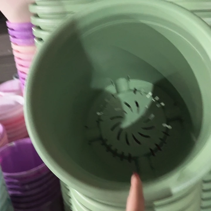 四季7号新绿色无托6个特价微瑕