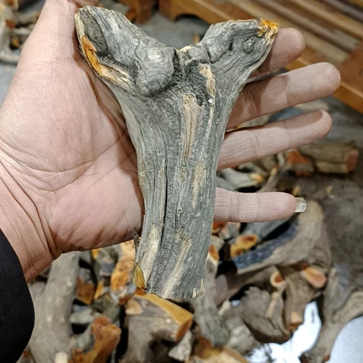 刘****香榧木崖柏原叉崖柏原叉崖柏原叉