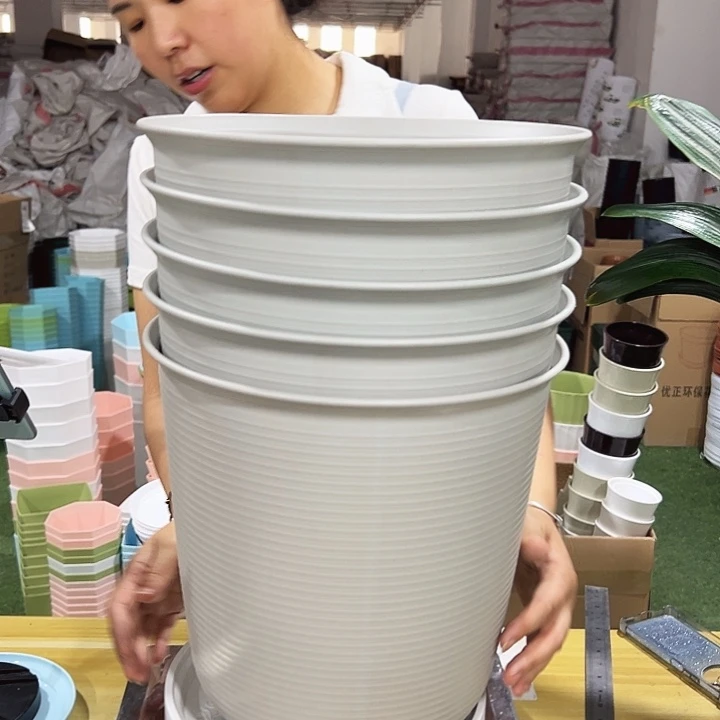 高陶口30高30灰白带托5只