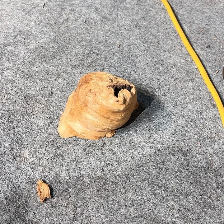 荔枝木有***室荔枝木毛料+挖