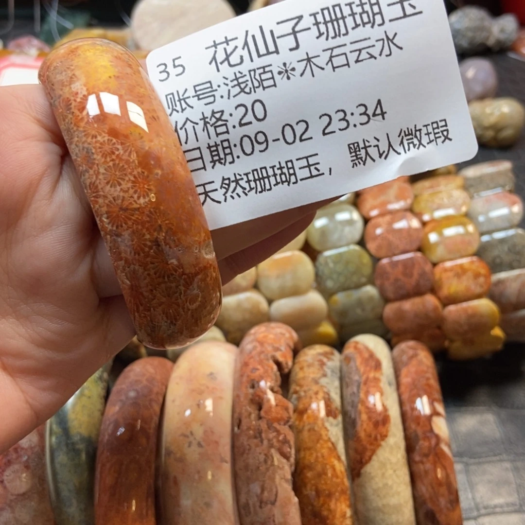 浅***水未镶嵌硅化珊瑚（珊瑚玉）珠宝半成品35