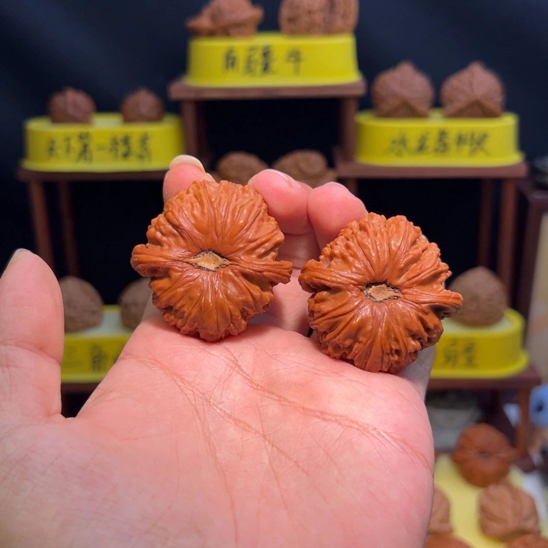 核桃【卡姿兰】全品44闷白