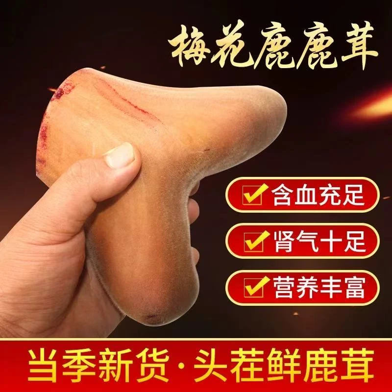 东北鹿乡新鲜梅花鹿鲜鹿茸可泡酒煲汤食用