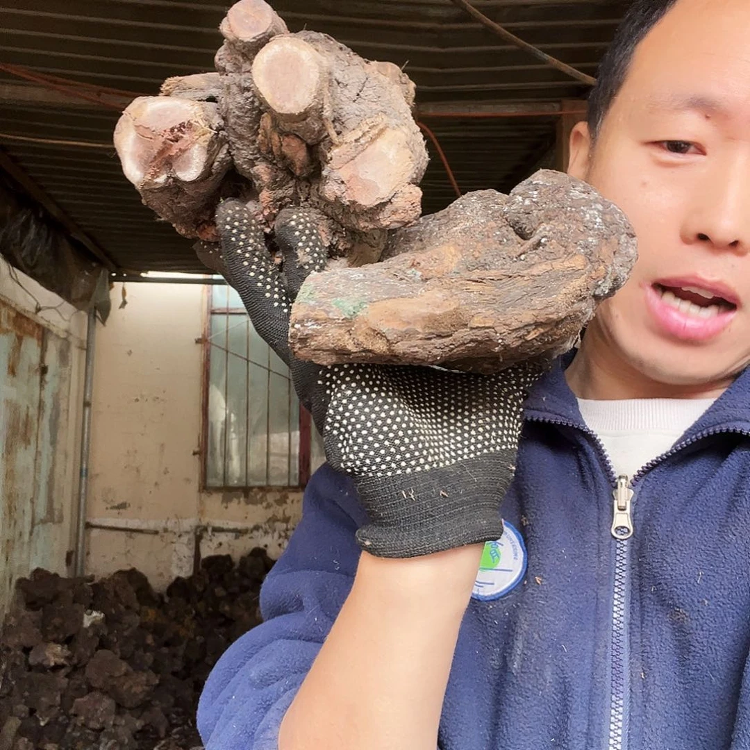 无***谓无花朵0000000000100