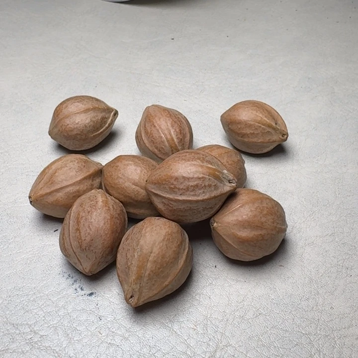 一***忧手串/手链橄榄核橄榄核2.1