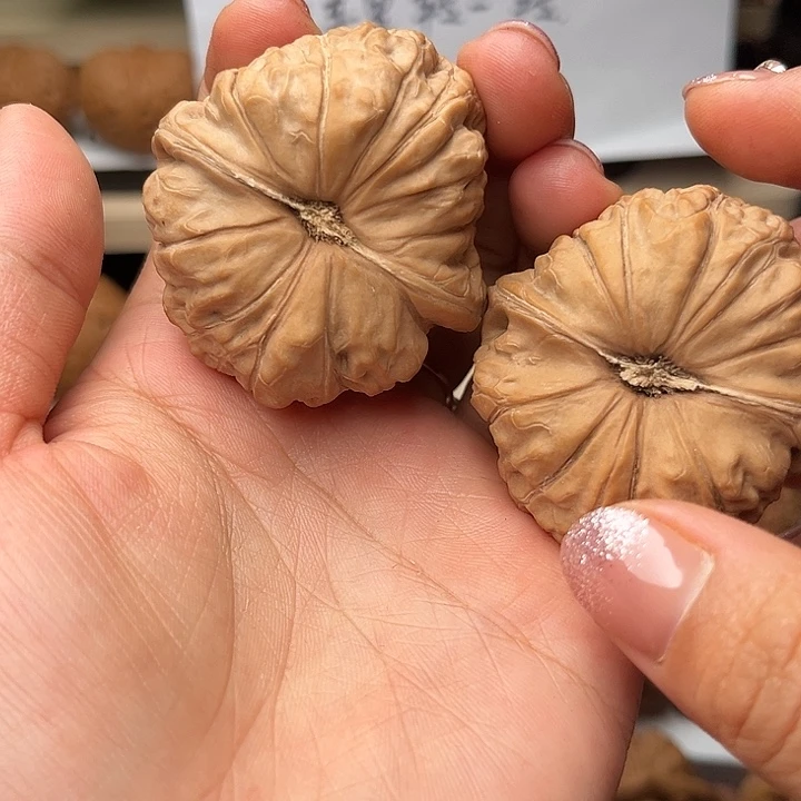 核桃45全品南瓜墩福利对