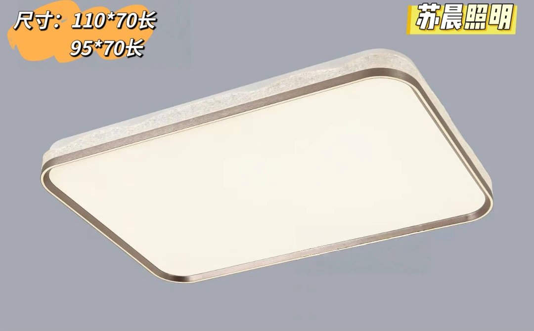 【苏晨照明】简约轻奢客厅卧室吸顶灯智能语音遥控三色变光款家用