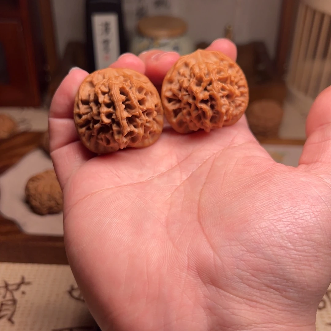 盐**飞秦岭闷尖狮子头 宝鸡一代