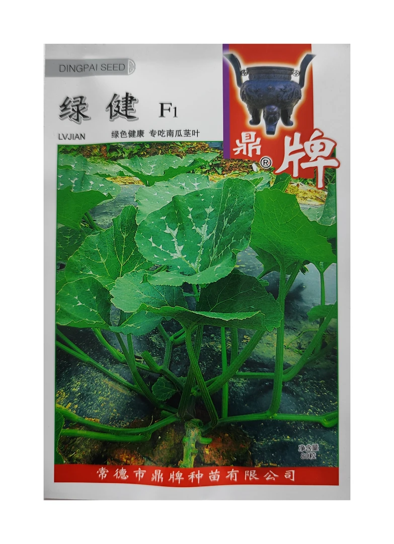 脆嫩南瓜苗种子种籽南瓜尖孑专吃茎叶苗春季南瓜藤苗种四季蔬菜