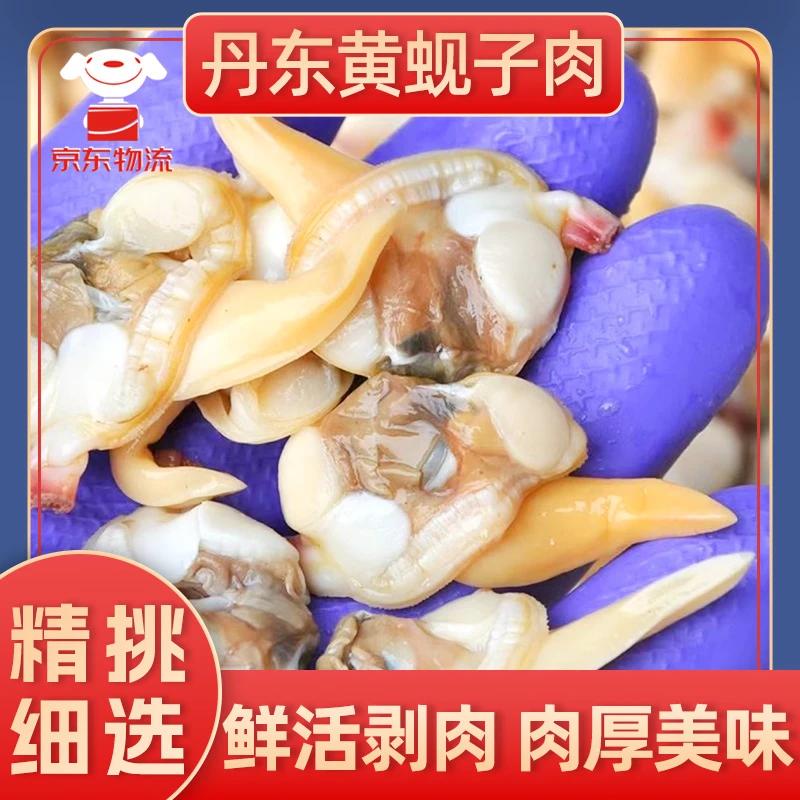 丹东特产冷冻保鲜黄蚬子肉新鲜美味3斤