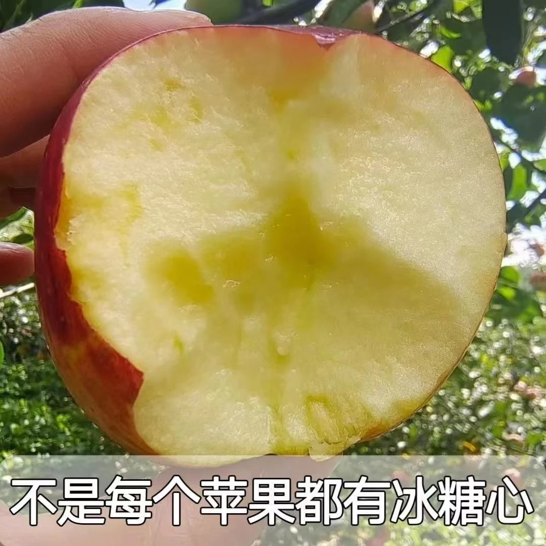 【精品大果】云南昭通正宗冰糖心丑苹果新鲜脆甜多汁水果2025年新货