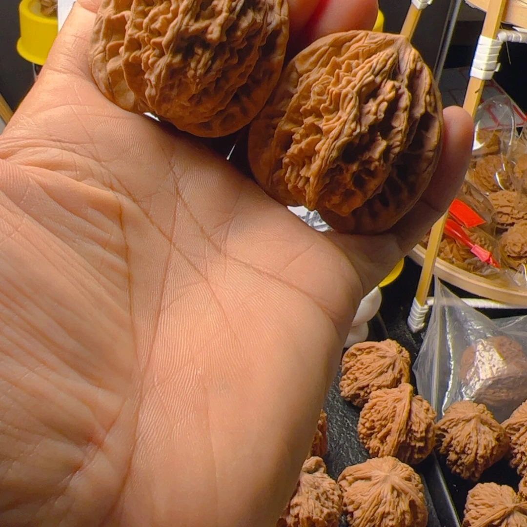 把件文玩核桃?*麦虎