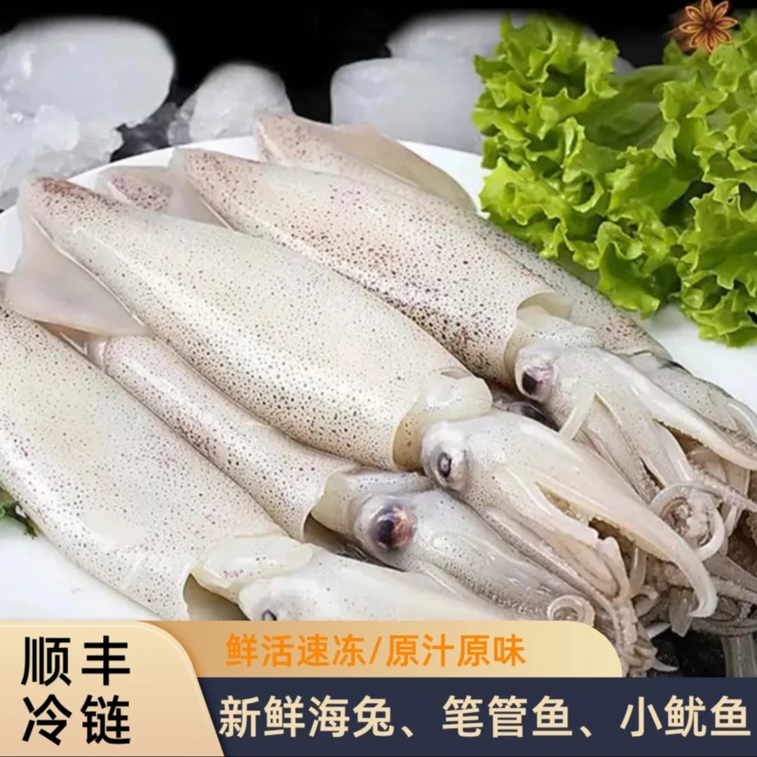 【今日鲜拍】照火鱿鱼仔（时价）