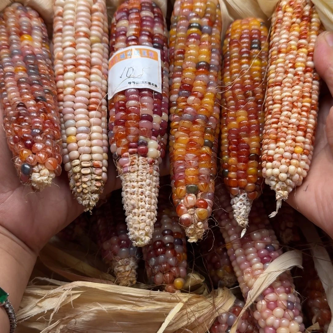 道***辰柏香籽/百香籽吊坠