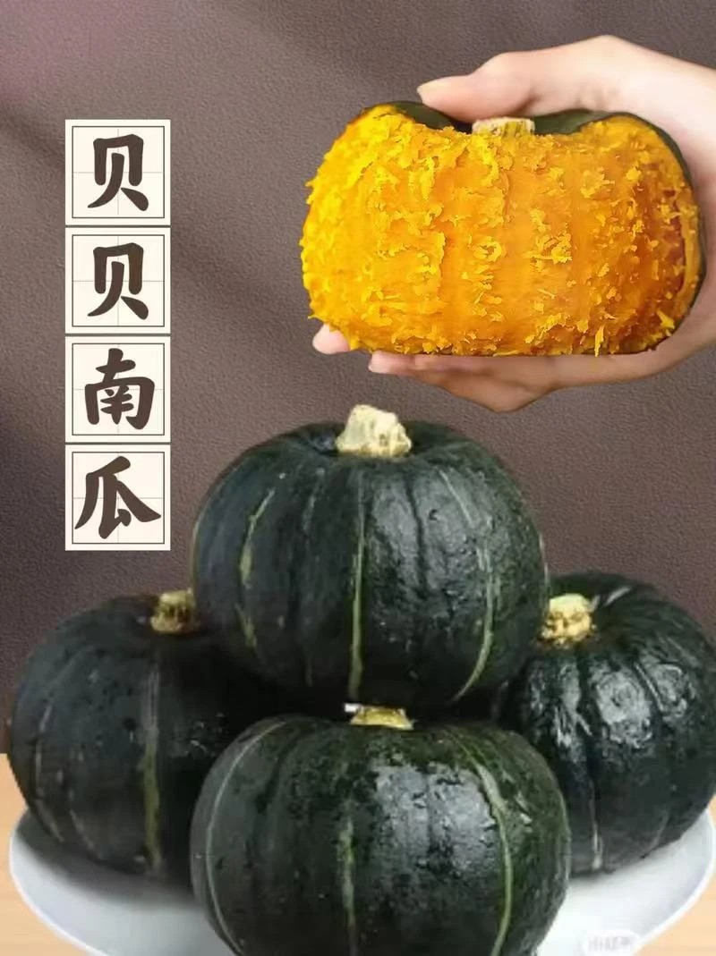 【小林哥】正宗贝贝南瓜粉糯香甜板栗味宝宝辅食粗粮