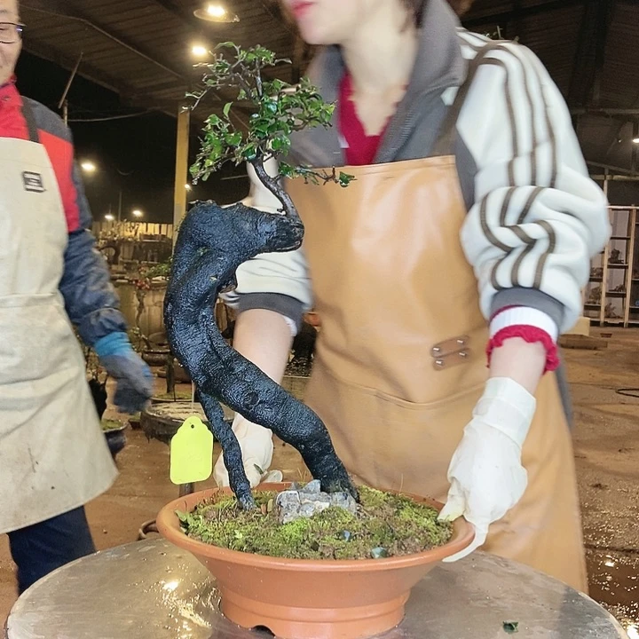 我也是想着你来了就知道你