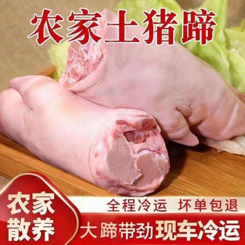 A【顺丰冷链发货】新鲜农村散养土猪猪蹄整只带筋猪蹄5大斤整箱发货
