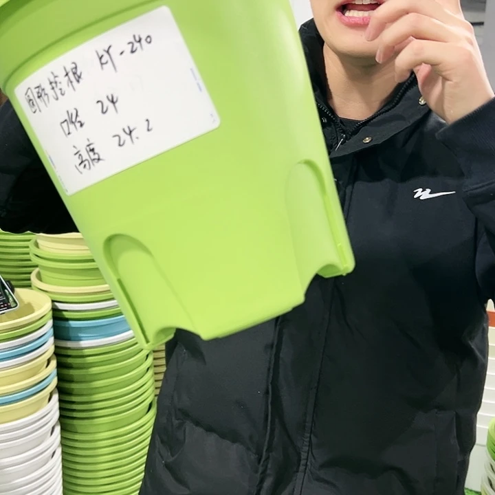 正品圆控口的24高24果绿色8只无托