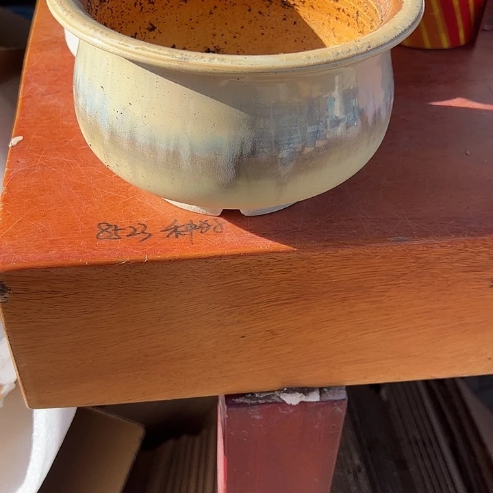 ****丽大口径帽檐盆奶黄色
