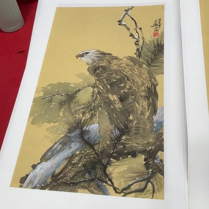 国画花鸟的翅膀和翅膀都是白色