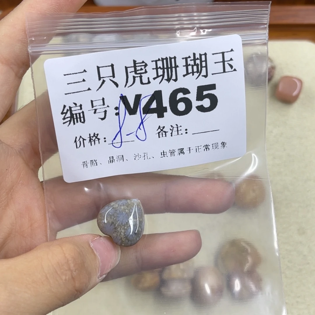 东***泡硅化珊瑚（珊瑚玉）h未镶嵌