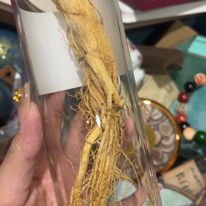 紫砂————————————————