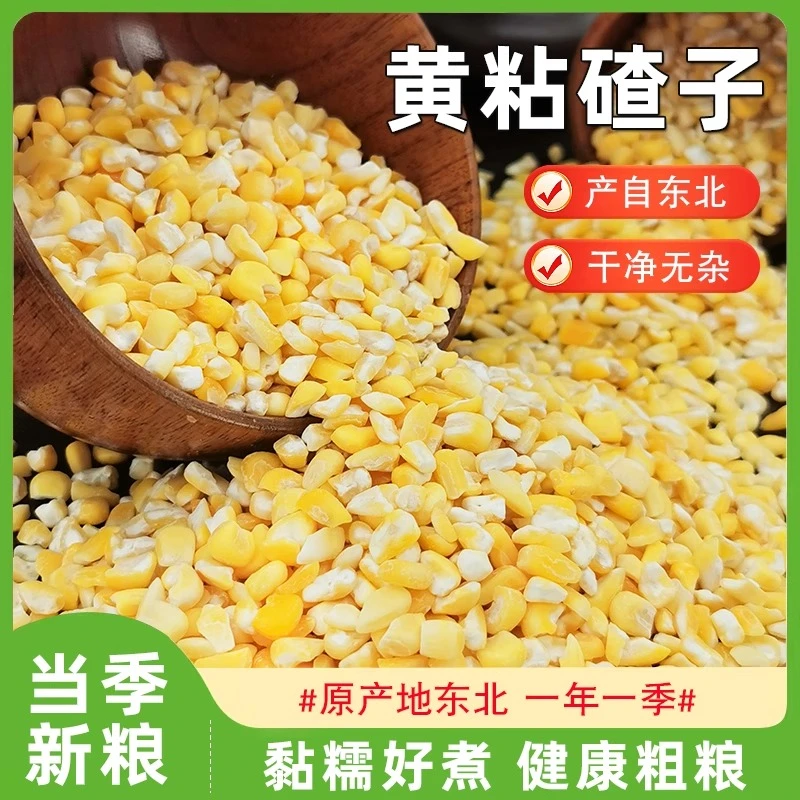 香糯玉米碴子当季新米美味可口米饭伴侣