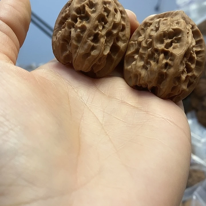 把件文玩核桃36.5蜡皮磐石小众油