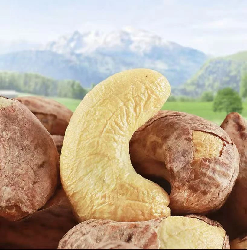 小雪现收土特产 偠-菓 500克