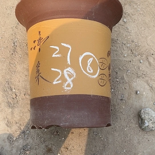 紫砂工艺厂……紫砂工艺厂……紫砂工艺厂