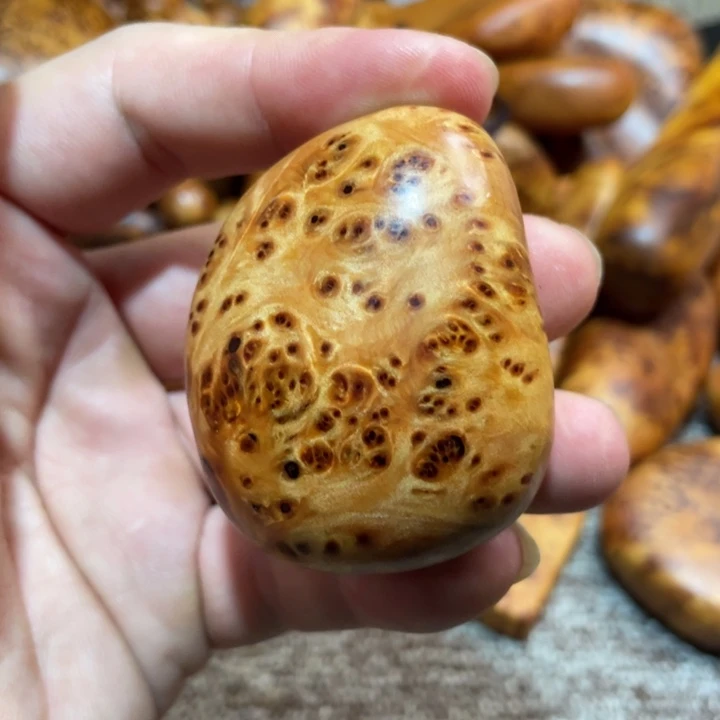 柏木（崖柏）其他把