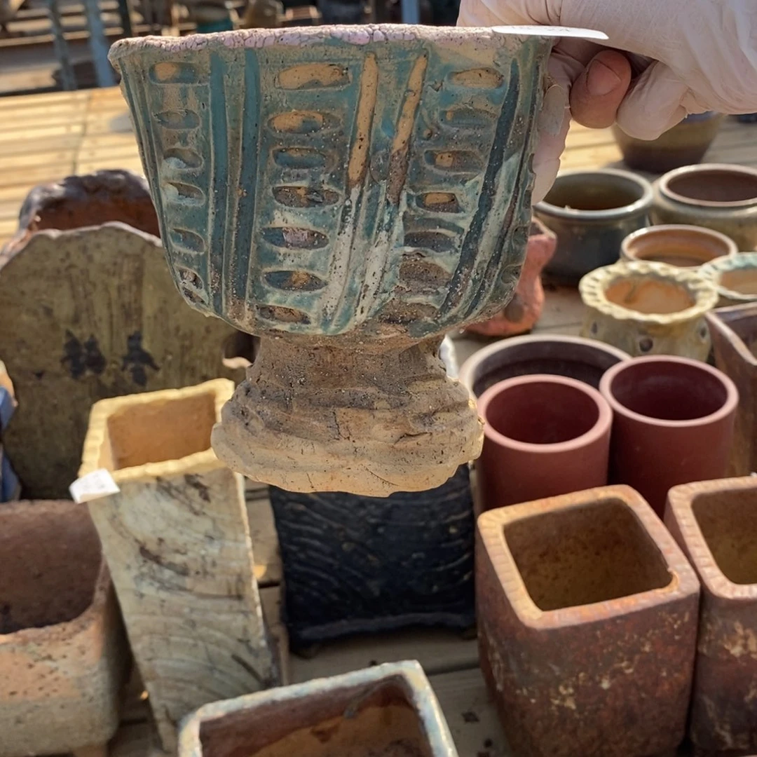 红陶?***24号多肉盆一个呀