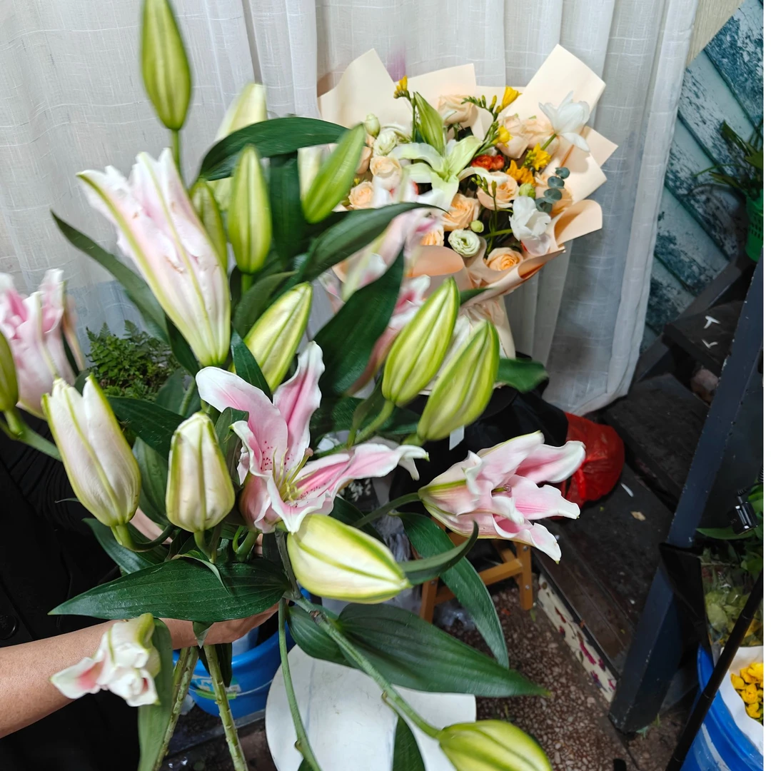 {多头百合}三支