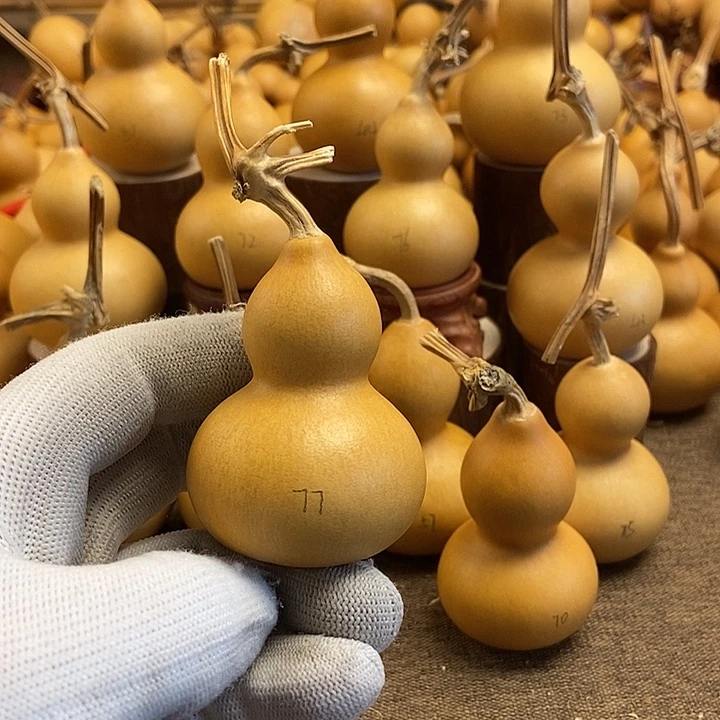 文玩葫芦 完美主义者 慎拍77