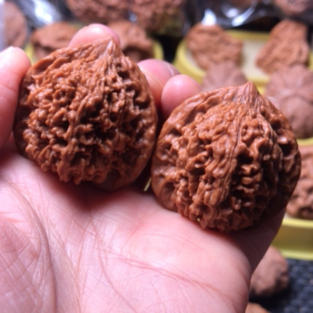 【闪购商品】满天星尺寸38