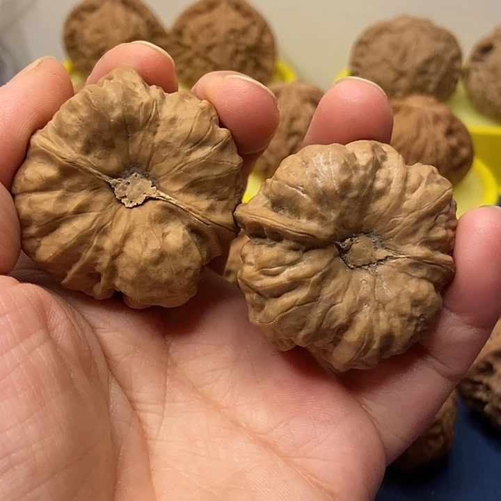 恸****文玩核桃   蛤蟆头
