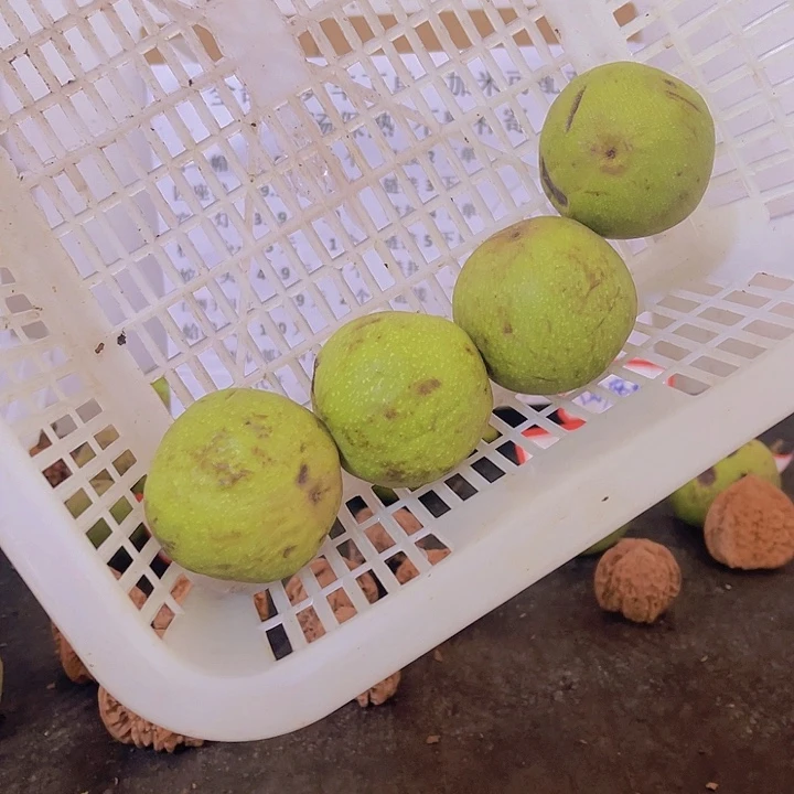 把件文玩核桃宫灯中号四个