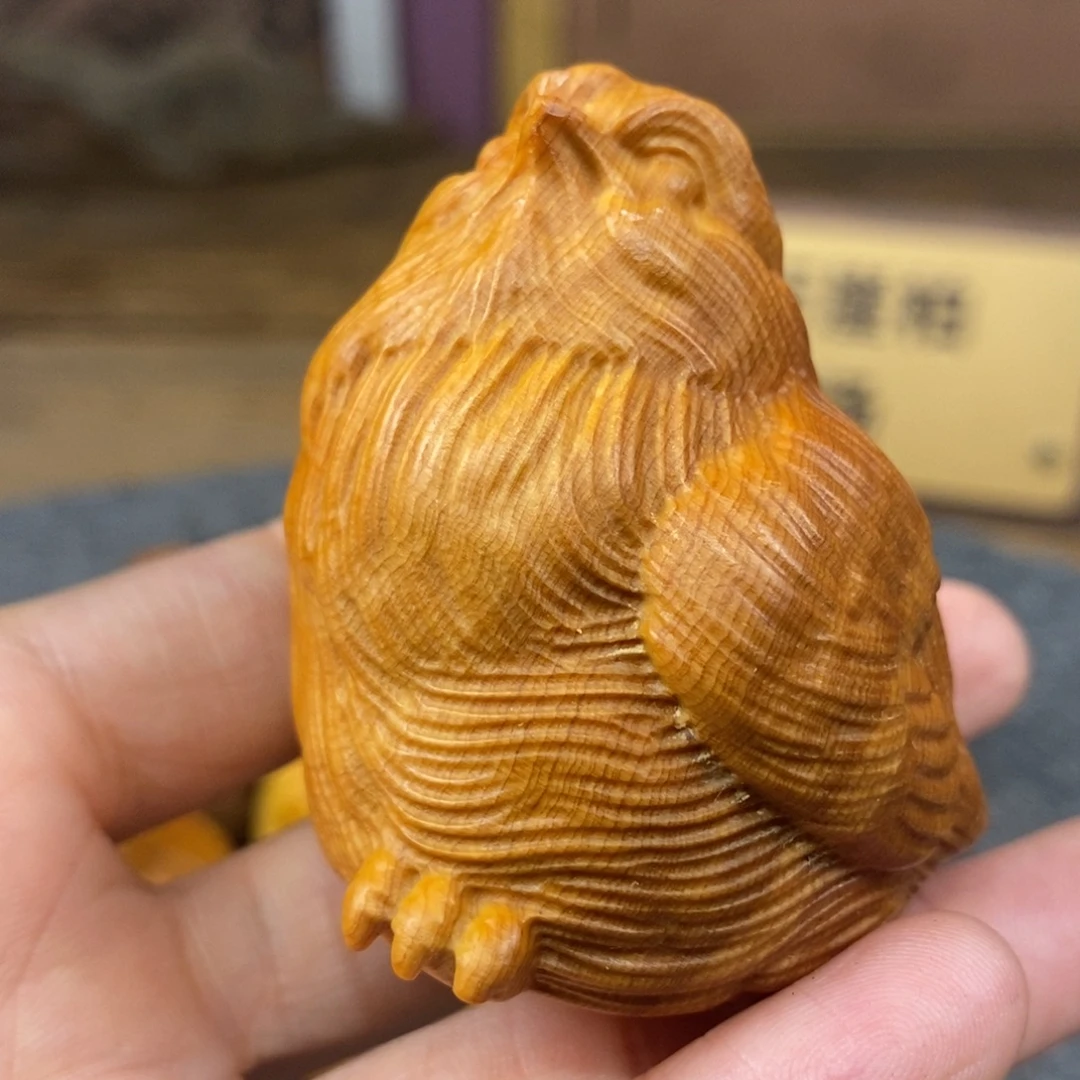 柏木（崖柏）崖柏11111