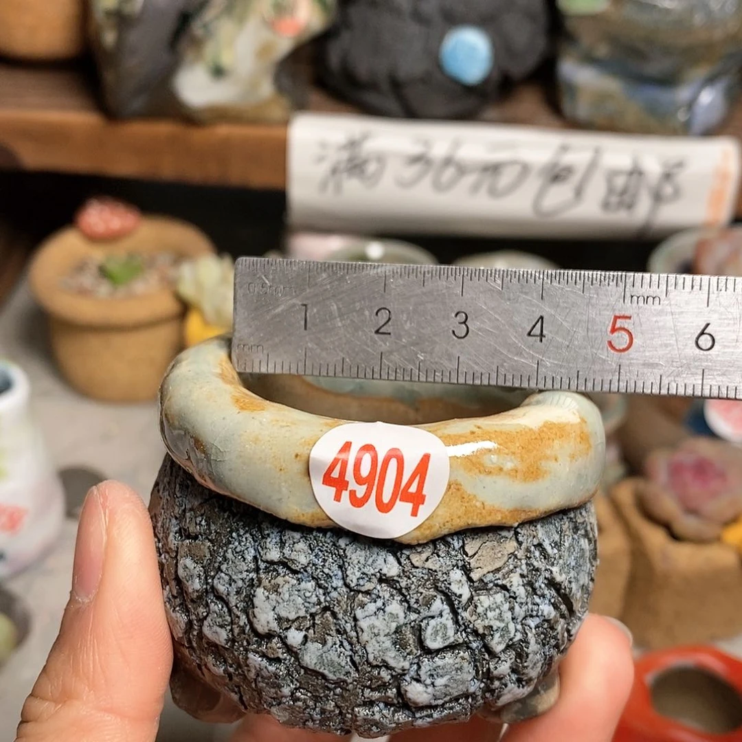 红陶拍5送一个小