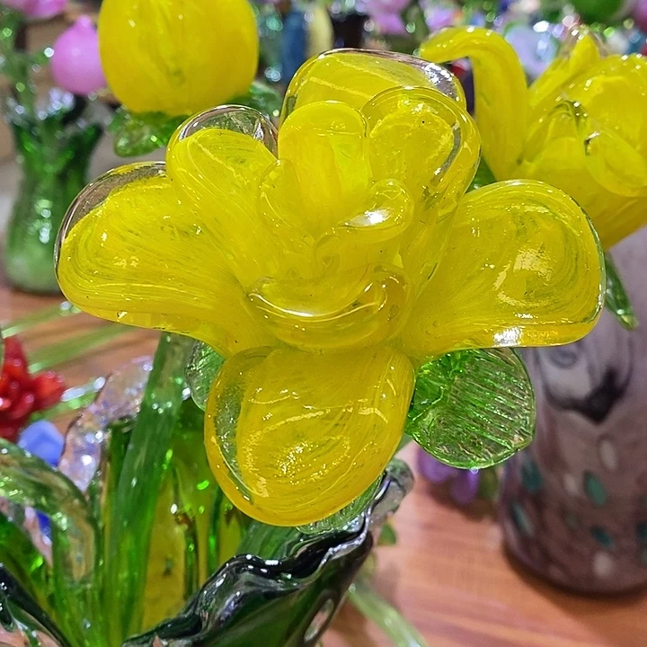 玫瑰花高45厘米宽12