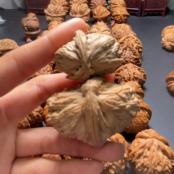 白狮子连体61尺寸单只核桃哈哈哈哈哈