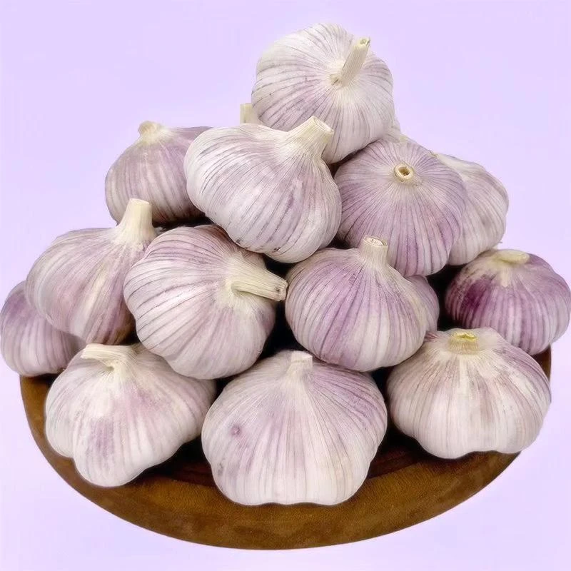 2斤干蒜】紫白皮大蒜特大果多瓣红皮蒜正宗当季辛辣提味