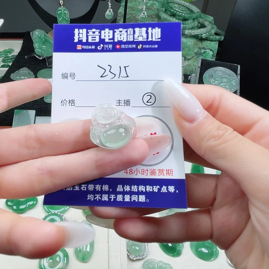 石英质玉未镶嵌颈饰