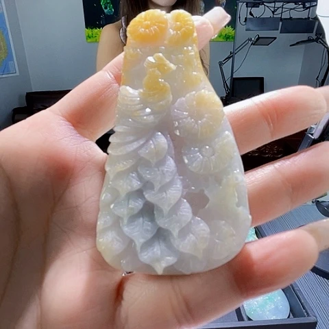 颈饰未镶嵌翡翠一个