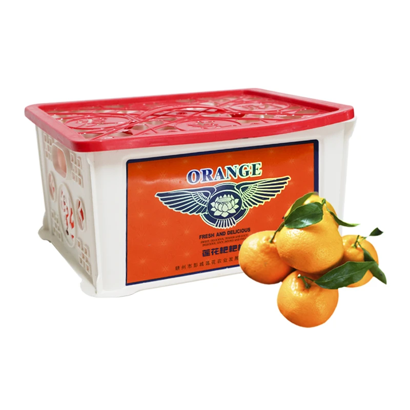 耙耙柑(小框) 约2-2.1kg/件