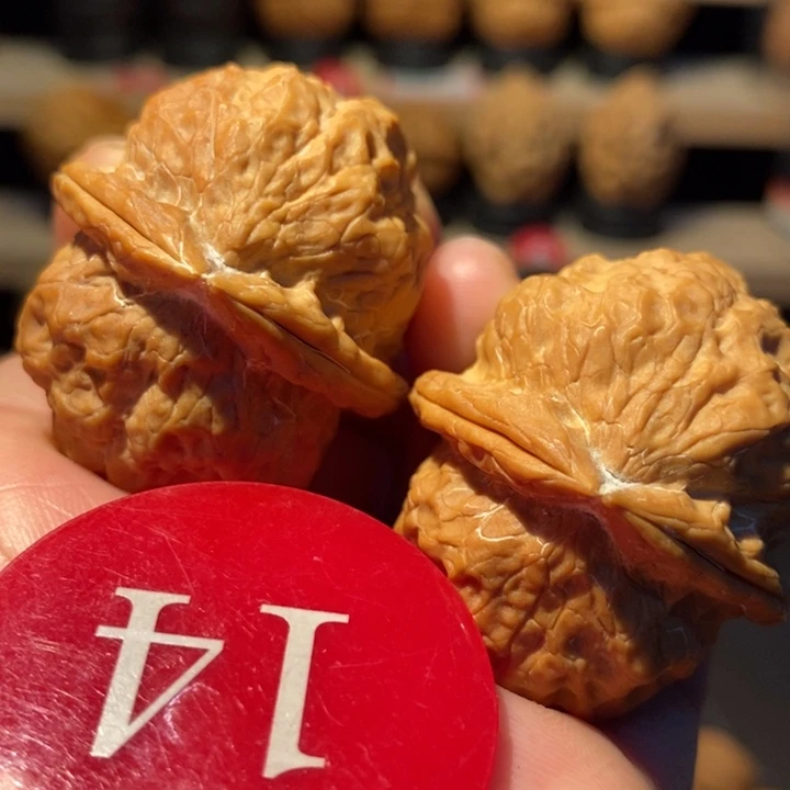 木质类粗筋暴雪舍利39尺寸