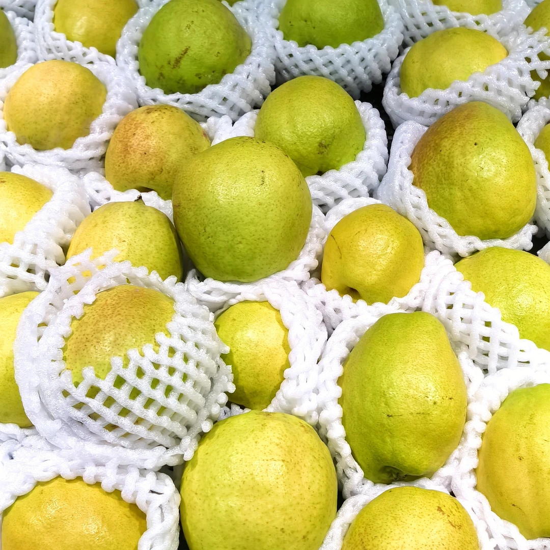 库尔勒香梨（约400-500g）(商道惠邻)