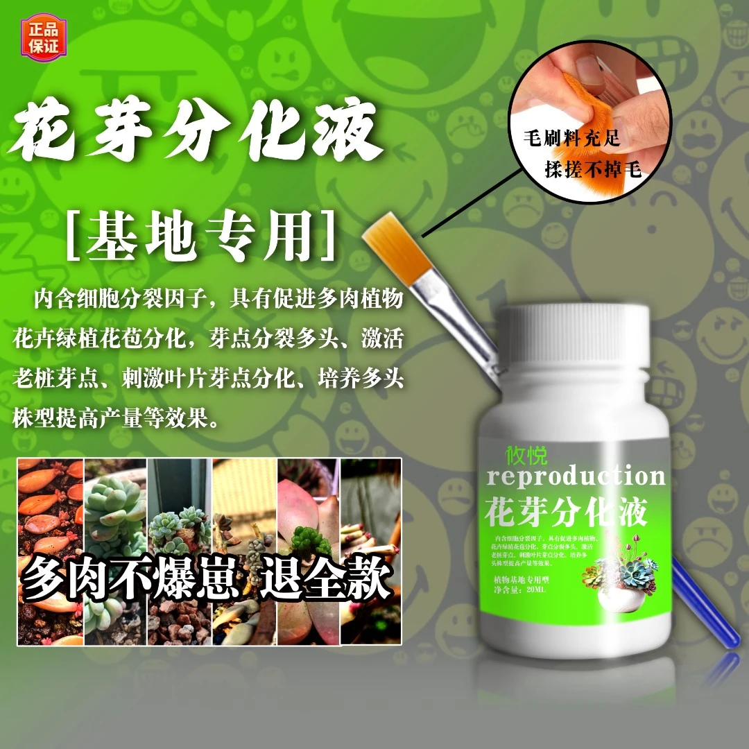 【冬季可用不爆崽退全款】多肉绿植鲜花专用花芽分化液基地款