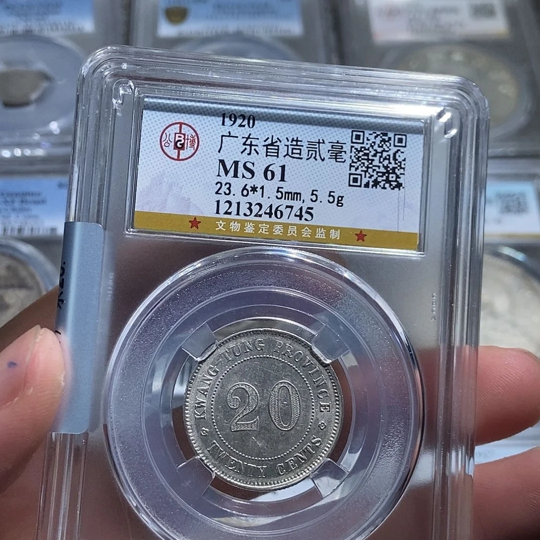 银大头精选广东20银币6745