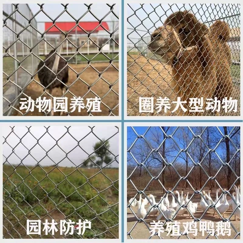 定制专拍热镀锌防锈勾花网用于养殖钢丝围栏及果园户外隔离防护